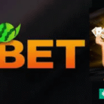 8Bet Game