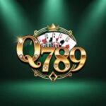 Q789 Game