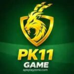 PK11 Game