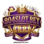 804SLOT Game